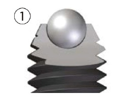 screw-about-1